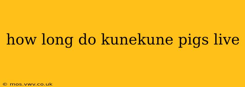 how long do kunekune pigs live