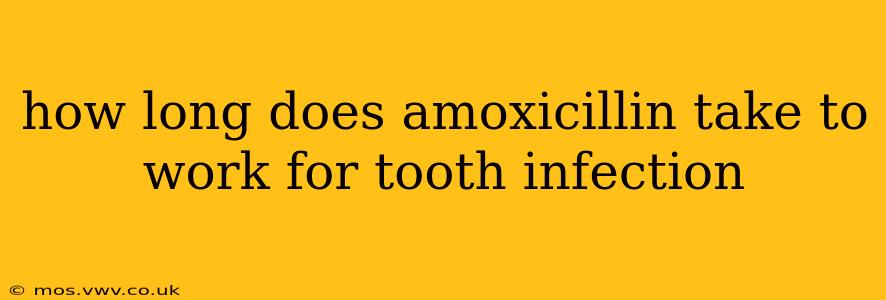 how long does amoxicillin take to work for tooth infection