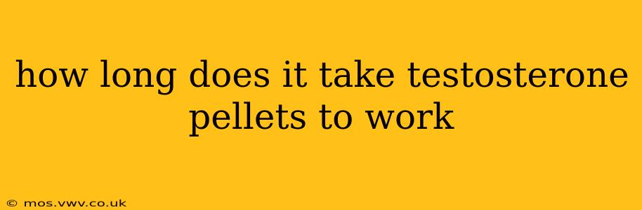 how long does it take testosterone pellets to work