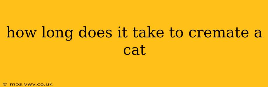 how long does it take to cremate a cat