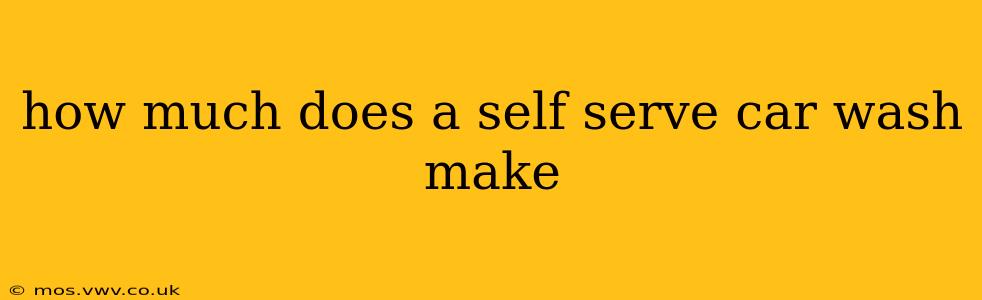 how much does a self serve car wash make