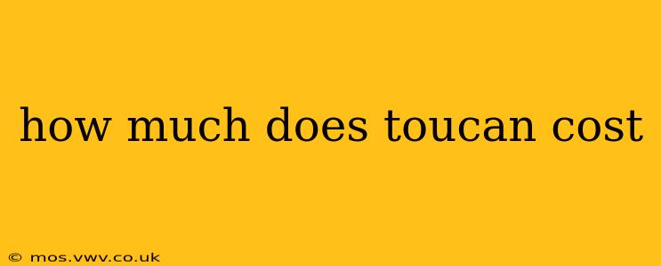 how much does toucan cost