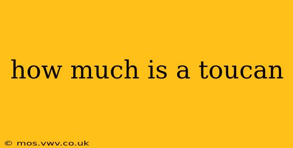 how much is a toucan