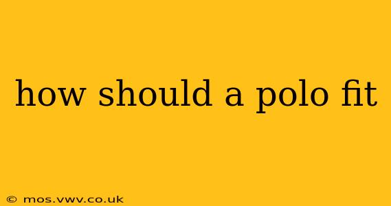 how should a polo fit
