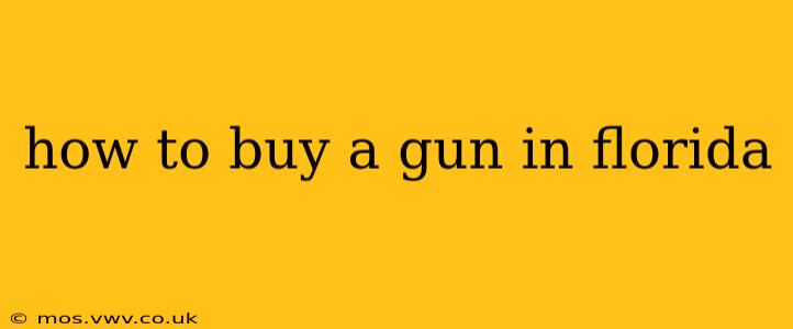 how to buy a gun in florida