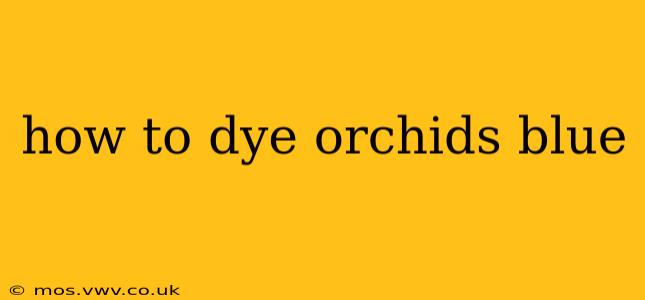 how to dye orchids blue