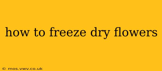 how to freeze dry flowers
