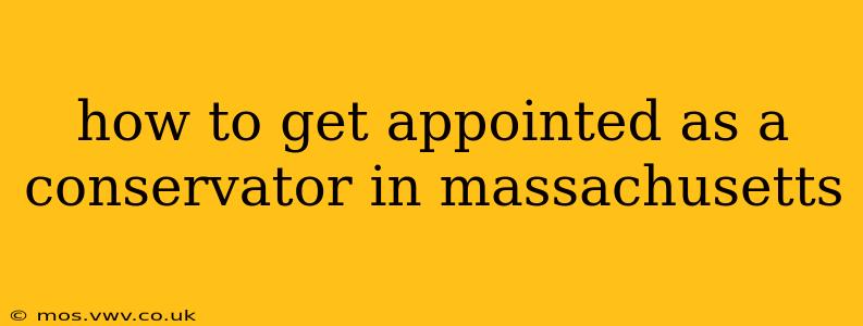 how to get appointed as a conservator in massachusetts