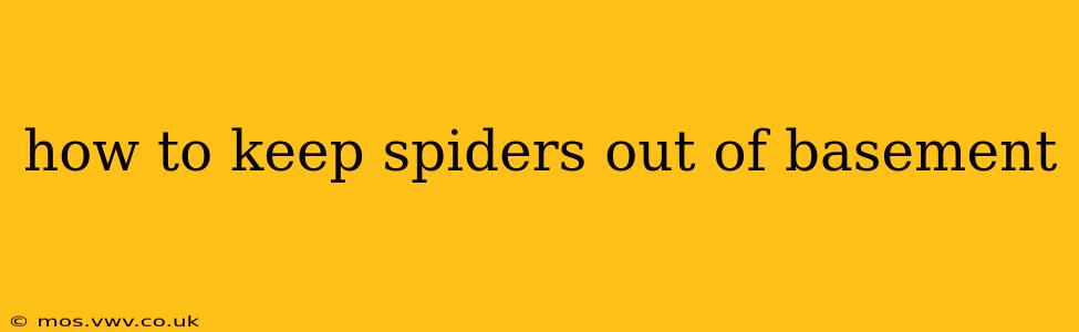 how to keep spiders out of basement