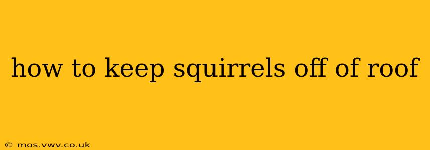 how to keep squirrels off of roof