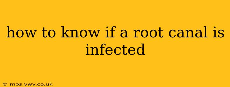how to know if a root canal is infected