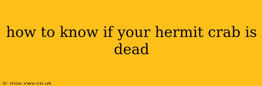 how to know if your hermit crab is dead