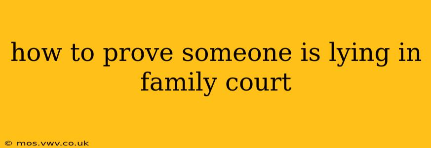 how to prove someone is lying in family court
