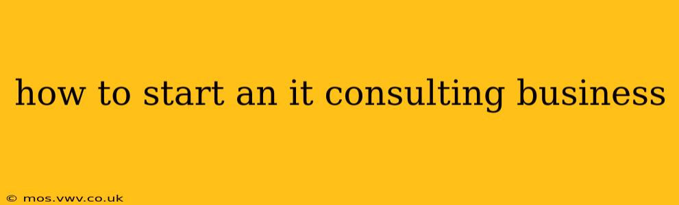 how to start an it consulting business