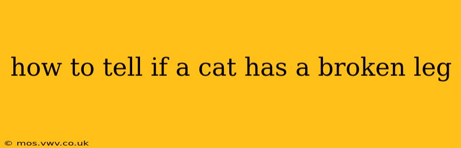 how to tell if a cat has a broken leg