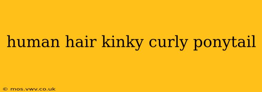 human hair kinky curly ponytail