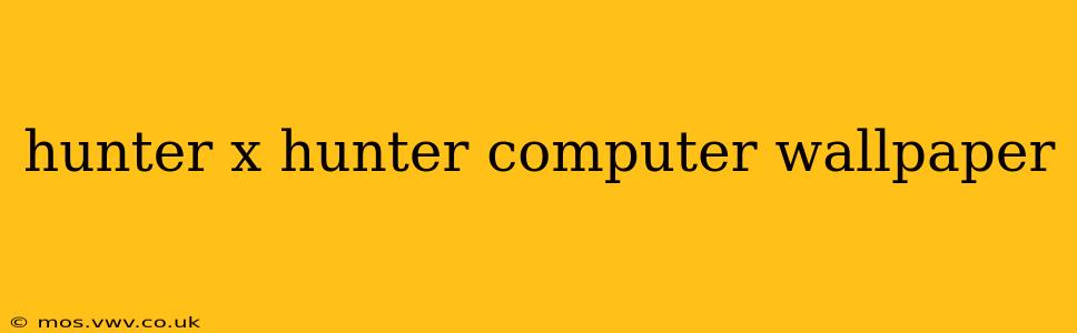hunter x hunter computer wallpaper