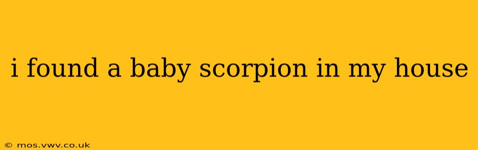 i found a baby scorpion in my house