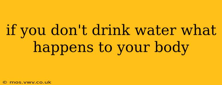 if you don't drink water what happens to your body