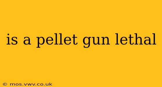 is a pellet gun lethal