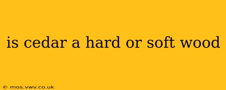 is cedar a hard or soft wood