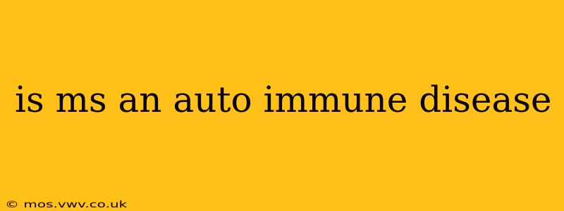 is ms an auto immune disease