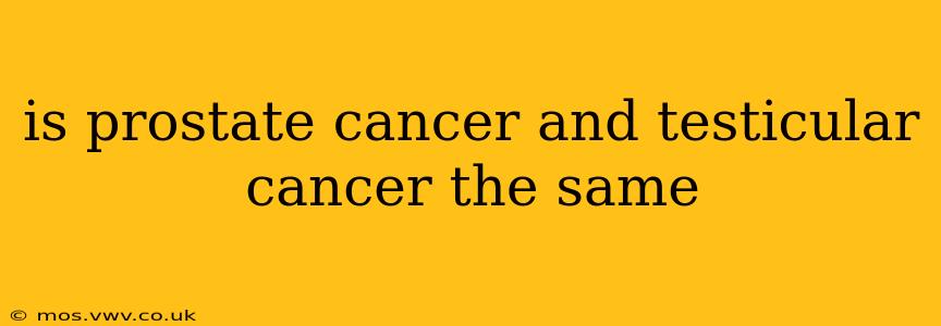 is prostate cancer and testicular cancer the same