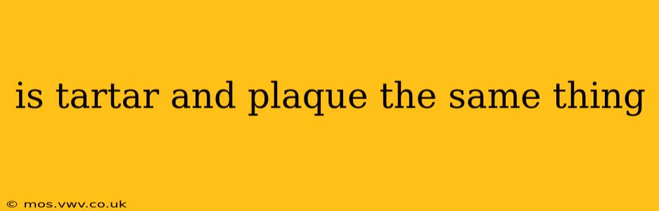 is tartar and plaque the same thing