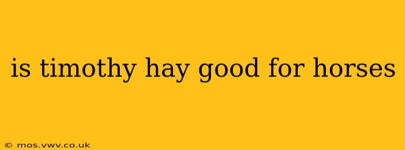 is timothy hay good for horses