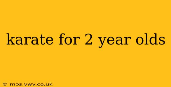 karate for 2 year olds