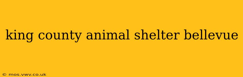 king county animal shelter bellevue