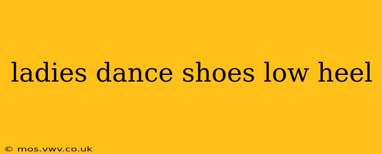 ladies dance shoes low heel
