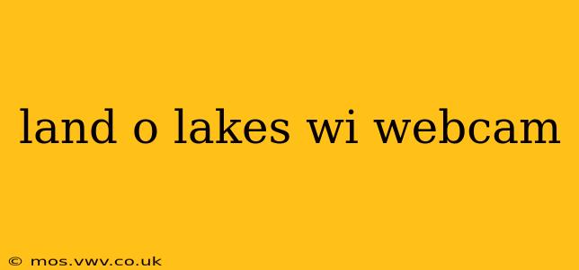 land o lakes wi webcam
