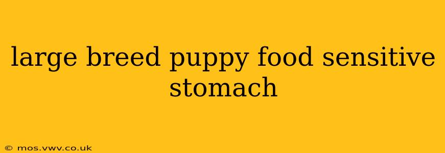 large breed puppy food sensitive stomach