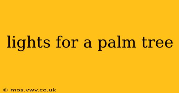 lights for a palm tree