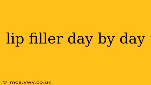 lip filler day by day