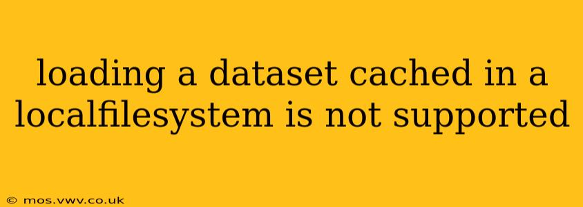 loading a dataset cached in a localfilesystem is not supported