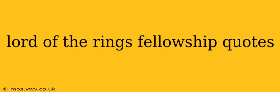 lord of the rings fellowship quotes