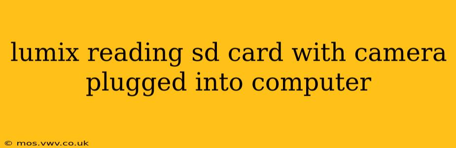 lumix reading sd card with camera plugged into computer