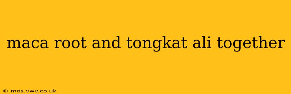 maca root and tongkat ali together