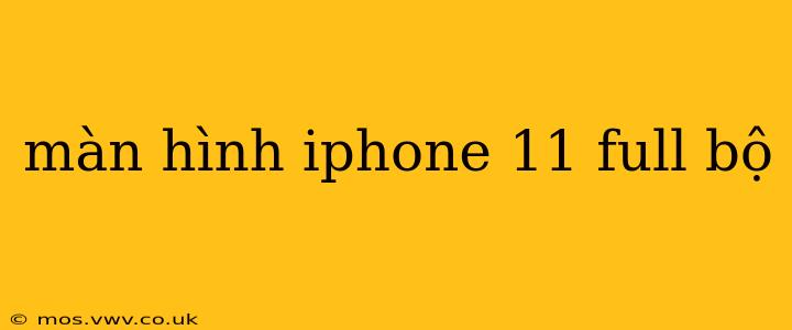 màn hình iphone 11 full bộ