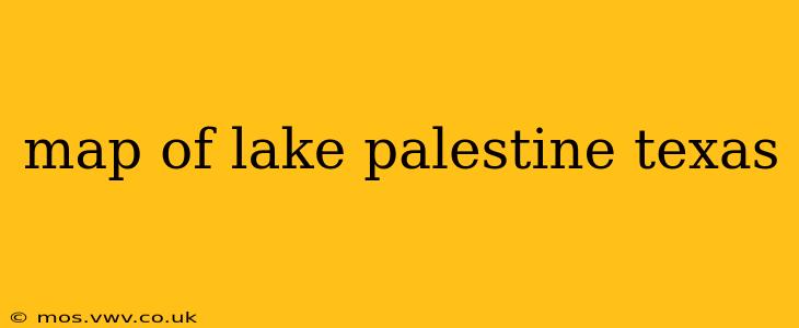 map of lake palestine texas