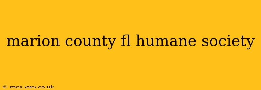 marion county fl humane society