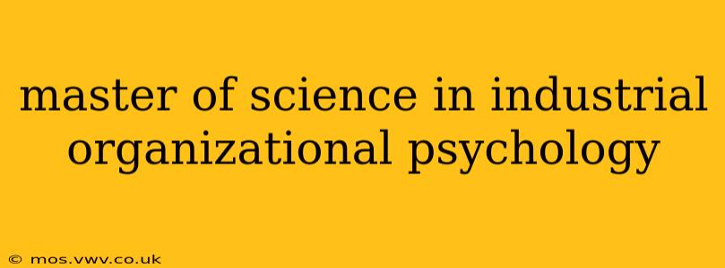 master of science in industrial organizational psychology