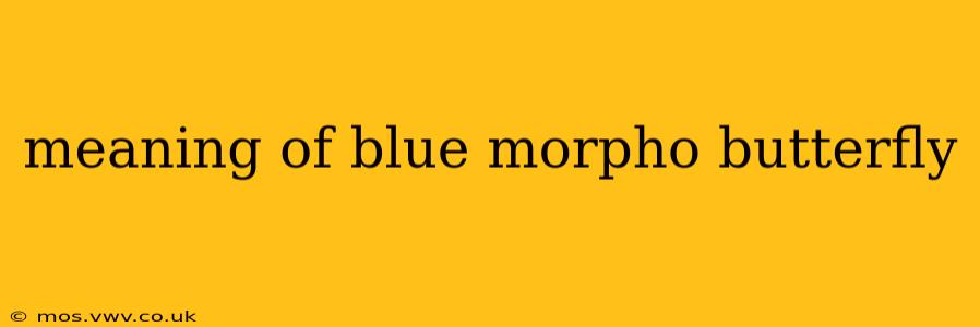 meaning of blue morpho butterfly