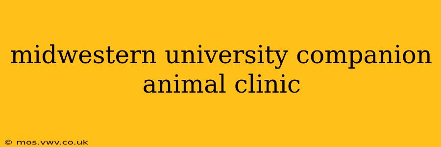midwestern university companion animal clinic