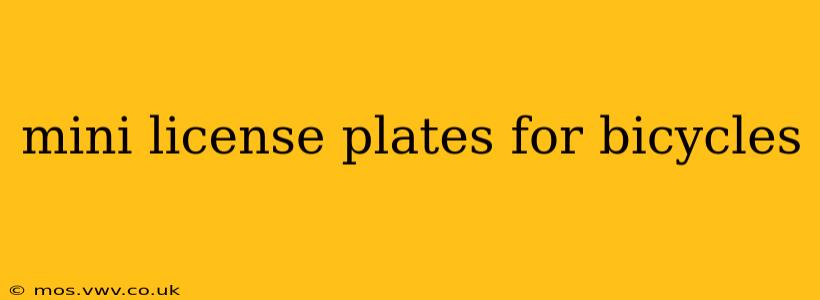 mini license plates for bicycles