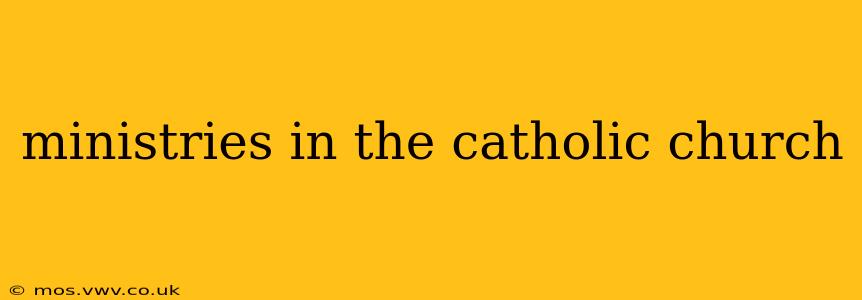 ministries in the catholic church