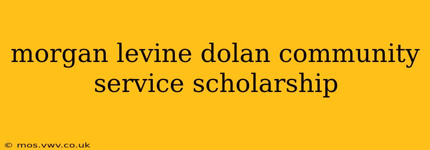 morgan levine dolan community service scholarship