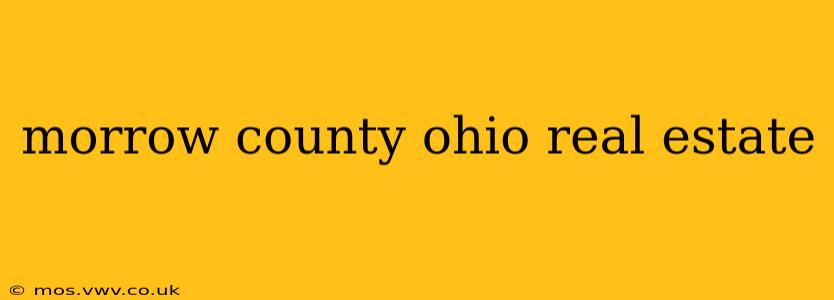 morrow county ohio real estate